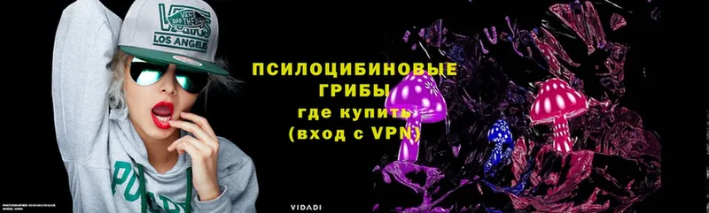 Галлюциногенные грибы MAGIC MUSHROOMS  мориарти официальный сайт  Гаджиево  купить наркотики цена 